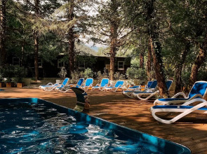 ЛЕС Глэмпинг и SPA