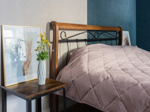 Апартаменты в самом центре Санкт-Петербурга