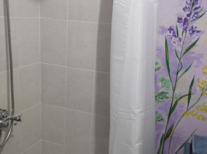 Квартира на Пионерской