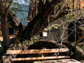 Гостевой дом Алтайские дачи