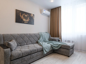 Апартаменты Stepanenkov двухкомнатные на Фабричной 65/2