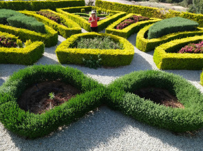 Отель Sun Valley Resort&Residency