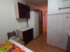 Апартаменты Просторная Двухкомнатная