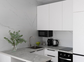 Апартаменты Studio Monochrome