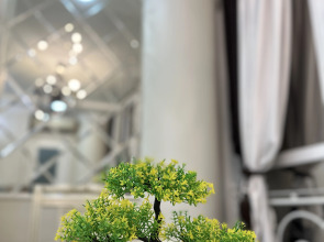 Апартаменты Элитные в Центре Города