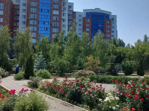 Квартира Однокомнатная студия 1