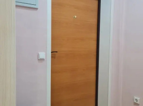 Апартаменты Уютные рядом с центром 3