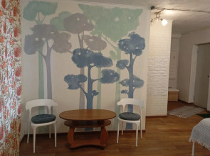 Квартира на Пионерской