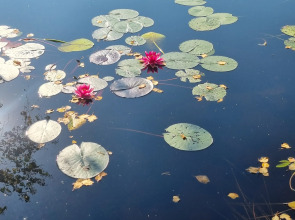 Гостевой дом Гармония