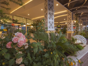 Отель Ocean Blue High Class