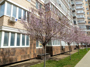 Апартаменты LYME на Конгрессной ВКК Экспоград Юг