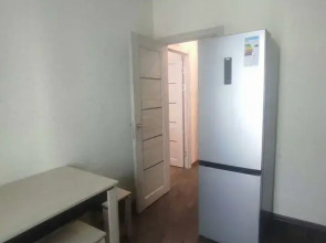 Квартира на Николаевском проспекте 68