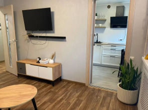 Двухкомнатные апартаменты WELCOME HOME Aparts & Tours 12