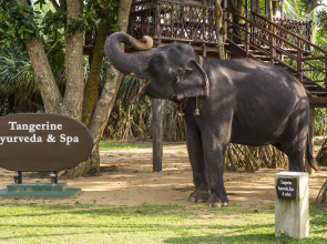 Отель Tangerine Beach