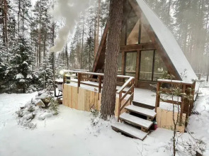 Частный дом Уютный дoм A-frame