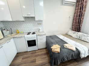 Квартира с заселением 24/7 Лучший сервис Посуточно 50