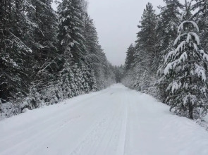 Частный дом Home in Baynevo