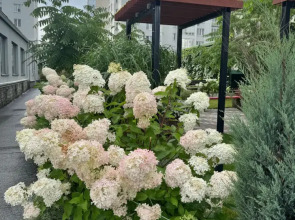 Квартира на улице Степана Разина 95