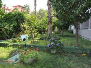 Hotel Grand Viking All Inclusive