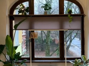 Апартаменты Оранжерея