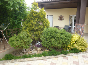 Гостевой Дом Солнечный Бриз