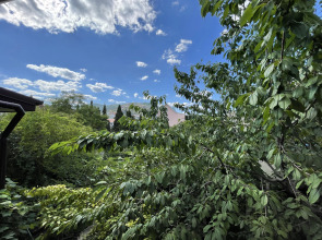 Меблированные комнаты Николь