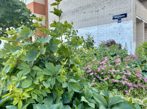 Квартира Garnet Apartments Уют