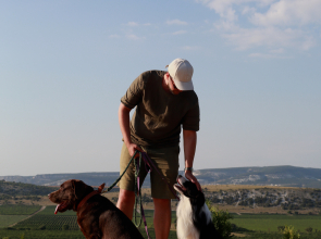 Отель Api Balaklava