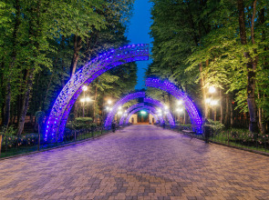 Отель Лесная поляна