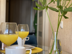 Апартаменты Современник