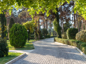 Отель Garabagh Resort & Spa Naftalan