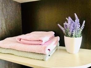 Апартаменты Пушкина 29