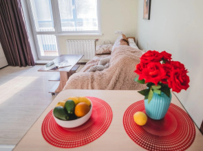 Студия с выходом на набережную