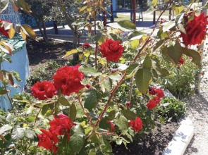 База отдыха Ветерок