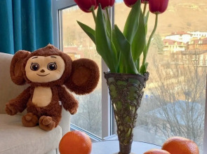 Квартира 300 метров Кисловодский парк