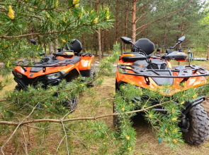 Кемпинг Эко-Парк Шмели