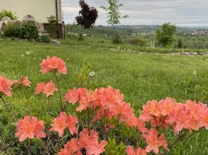 Дом Art House PARLE