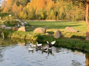 База отдыха Эко Хутор Рай Сяля