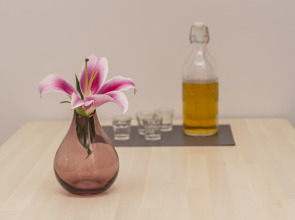 Апарт-Отель Doma Zagreb