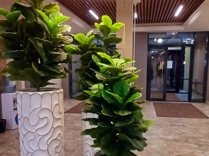 Апартаменты Cтудия Комфорт на Партизана Железняка