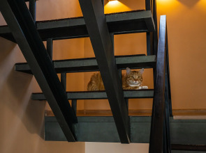 Гостевой Дом Рыжий пони