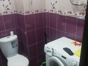 Апартаменты 2х Комнатная Квартира