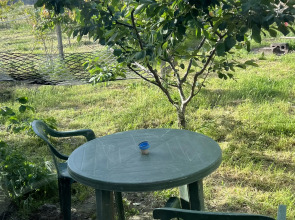 Частный дом в стиле Прованс