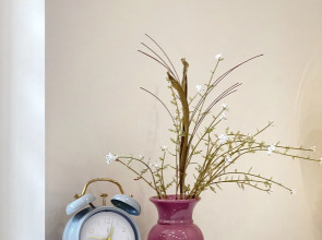 Апартаменты Granada Шикарная квартира в историческом центре Санкт-Петербурга в 300 метрах от Невского Проспекта и Площади Восстания