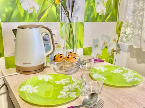 Апартаменты на Амурской