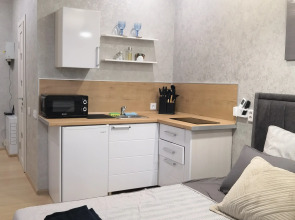 Квартира студия Бриз в центре города