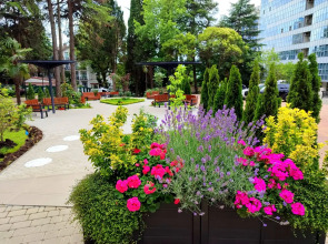 Апартаменты Двухкомнатные в ЖК Покровский парк