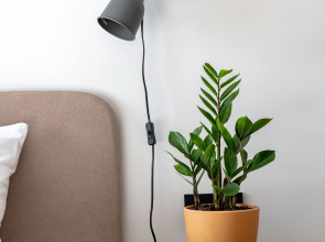 Апартаменты Wood Resort в Сестрорецке в комплексе с бассейном