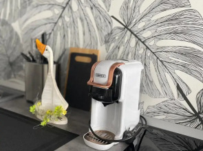 Апартаменты А38 PuolukkaTalo(509) в Центре Города