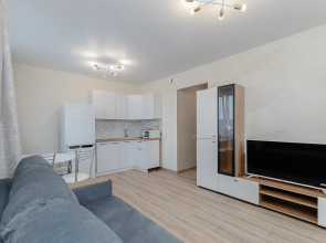 Квартира Солнечная возле парка в центральном районе города